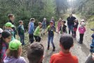 Kinder spielen im Wald mit verbundenen Augen ein Fledermaus-Spiel