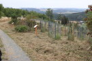 Blick auf den Weg durch den Wiederbewaldungs-Parcours