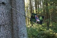 Das Bild eines Eichelhähers ist mit einer Wäscheklammer an einen Zweig gehangen.