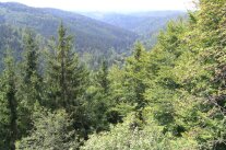 Blick ins Langenautal 