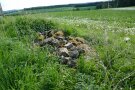 Steinhaufen auf einer Wiese