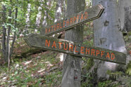 2 hölzerne Pfeile an einem Baum mit Aufschrift Naturlehrpfad