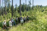 Gruppe von Waldbesitzern begutachten Naturverjüngung im Wald
